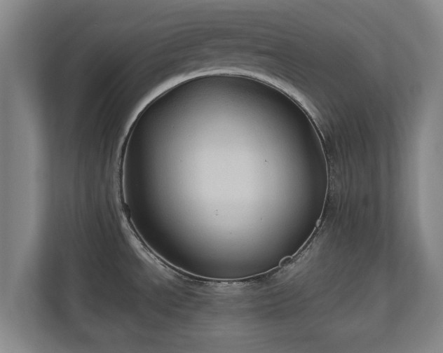 X0000110971534200906261357