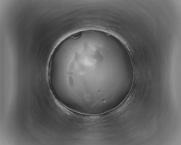 X0000110971535200906261357