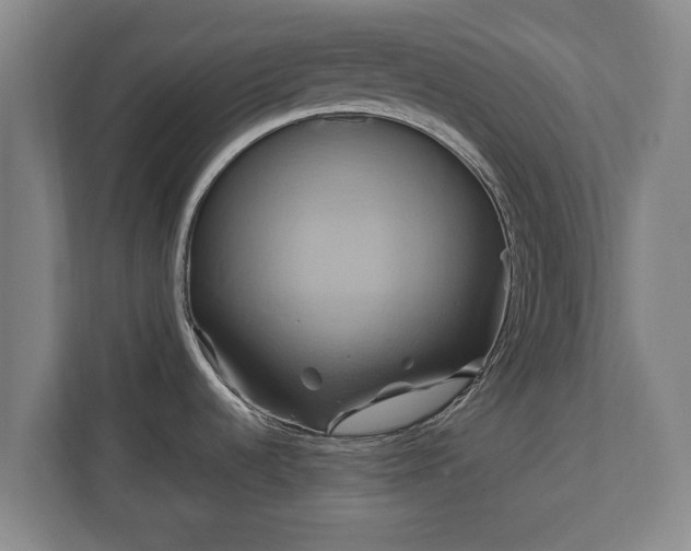 X0000110971536200906261357