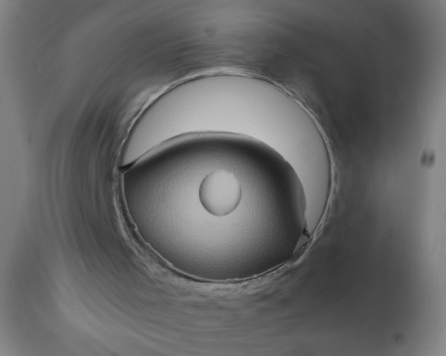 X0000110970001200907022256