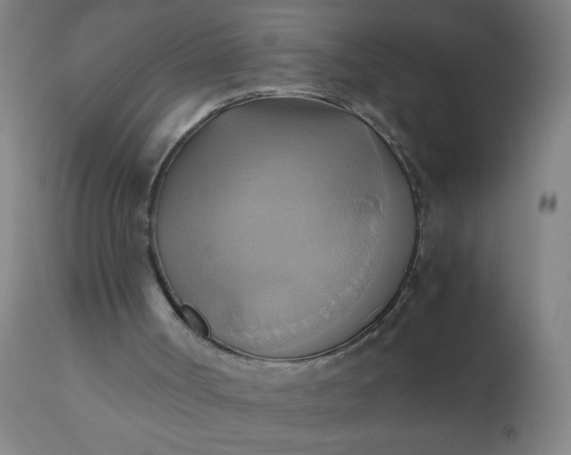 X0000110970002200907022256