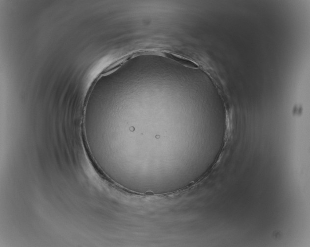 X0000110970003200907022256