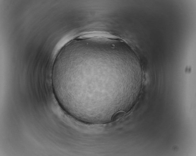 X0000110970004200907022256