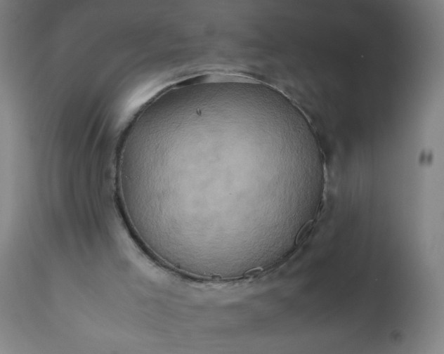 X0000110970005200907022256