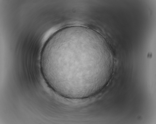 X0000110970006200907022256