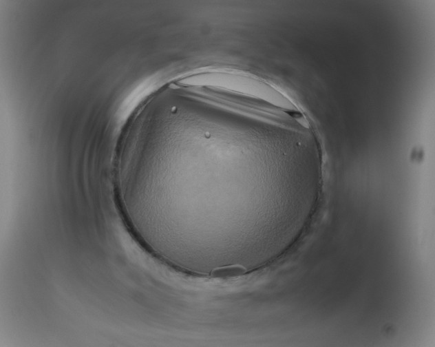 X0000110970007200907022256