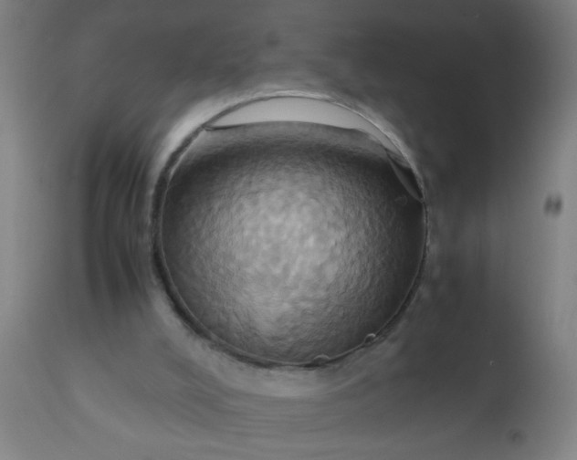 X0000110970008200907022256