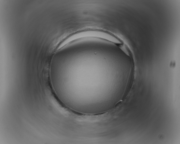 X0000110970009200907022256