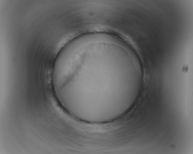 X0000110970010200907022256