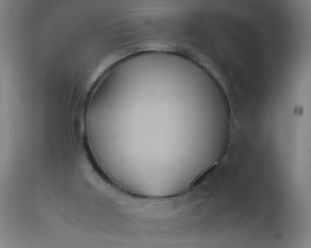 X0000110970011200907022256