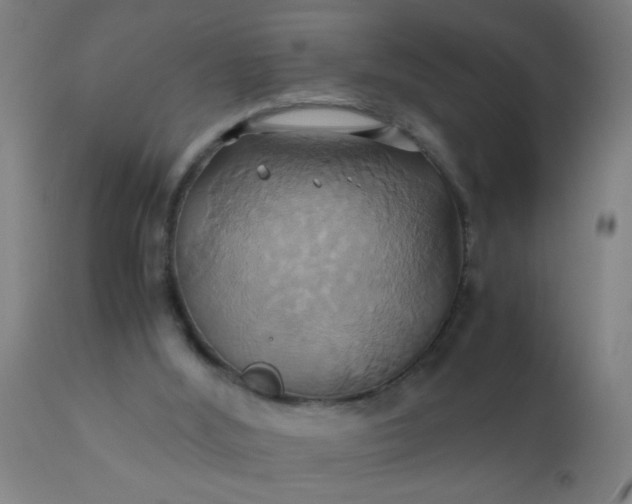 X0000110970012200907022256