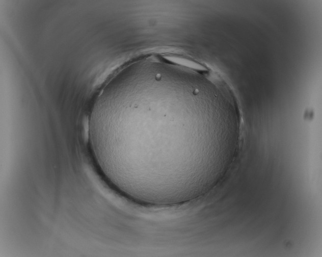 X0000110970013200907022256