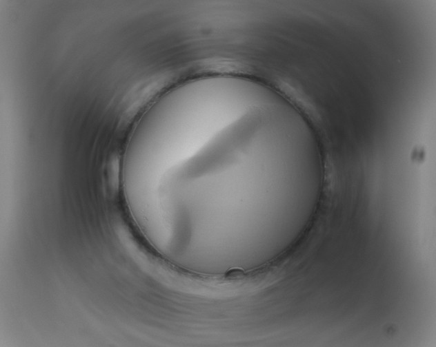 X0000110970014200907022256