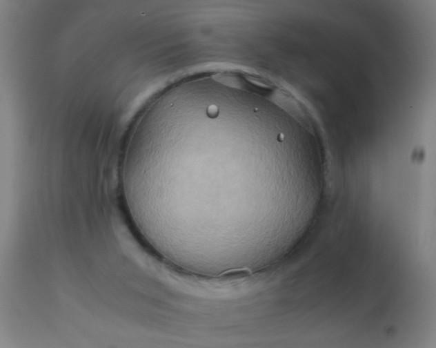 X0000110970015200907022256