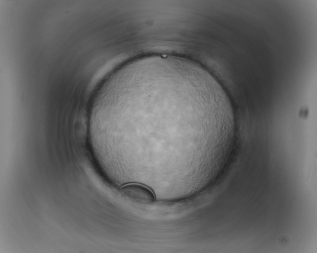 X0000110970016200907022256