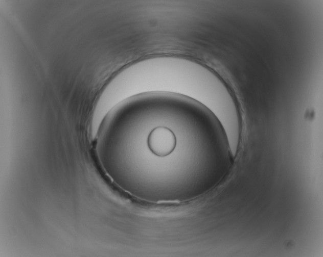 X0000110970017200907022256