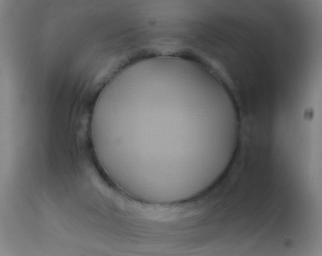 X0000110970018200907022256