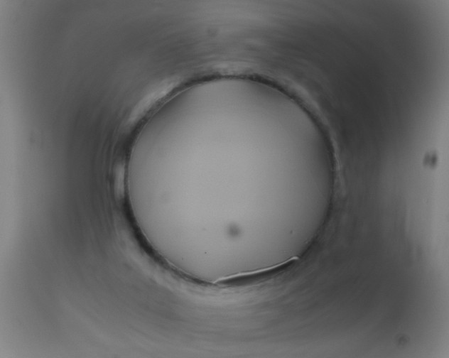 X0000110970019200907022256