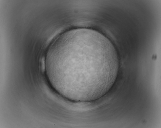 X0000110970020200907022256