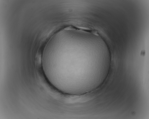 X0000110970021200907022256