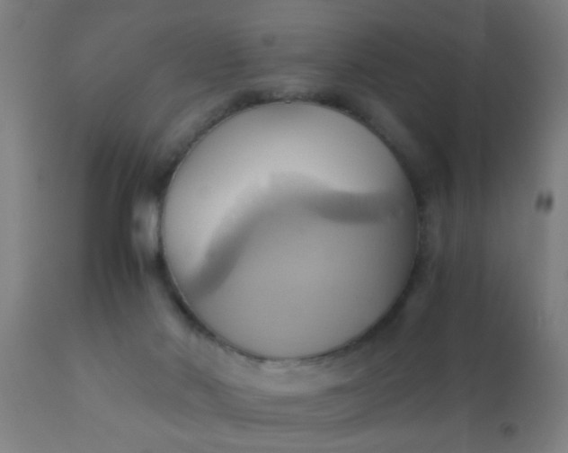 X0000110970022200907022256