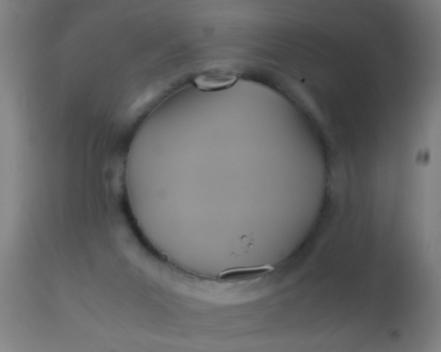 X0000110970023200907022256