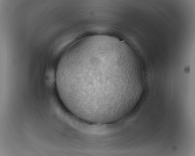 X0000110970024200907022256