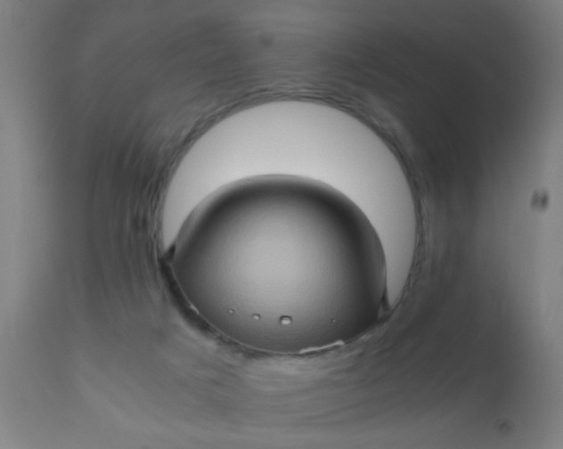 X0000110970025200907022256