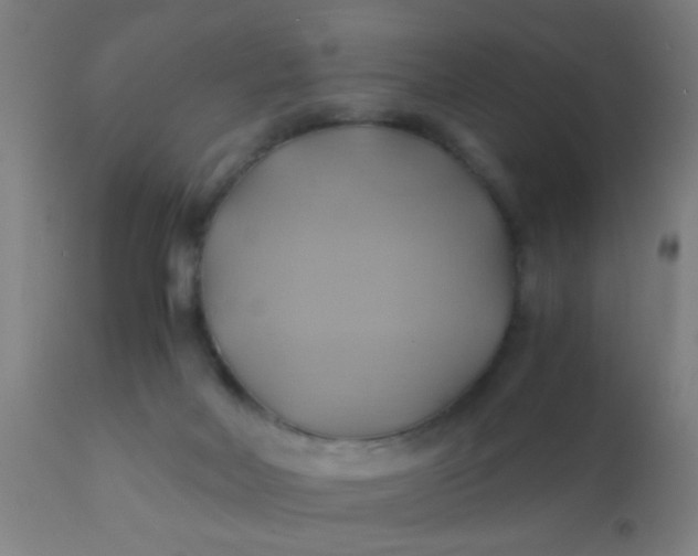 X0000110970026200907022256