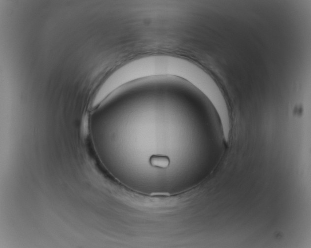 X0000110970027200907022256