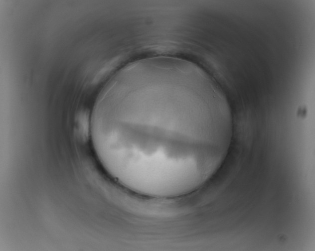 X0000110970028200907022256