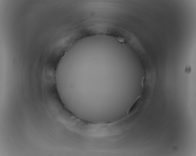 X0000110970029200907022256