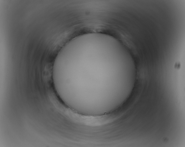 X0000110970030200907022256