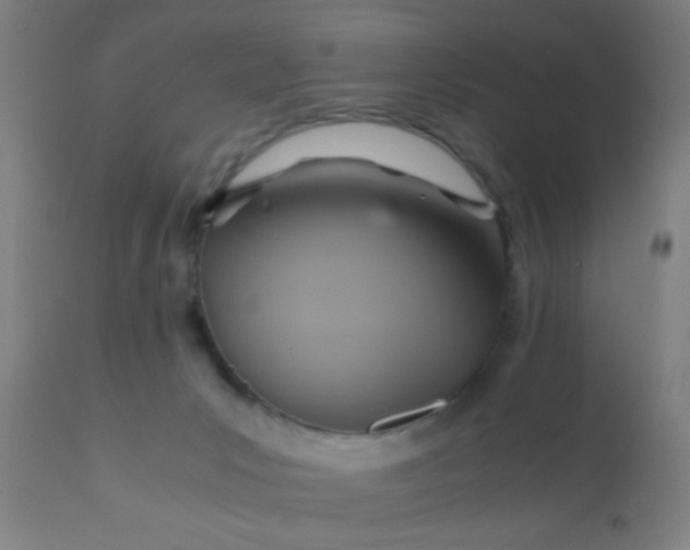 X0000110970031200907022256