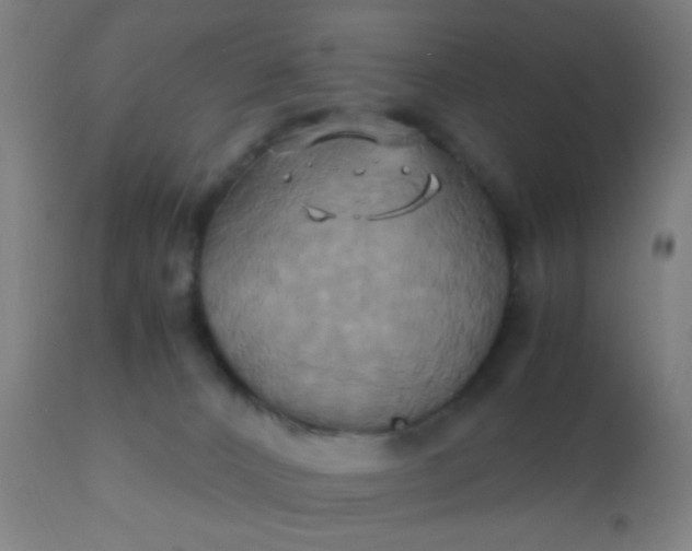 X0000110970032200907022256