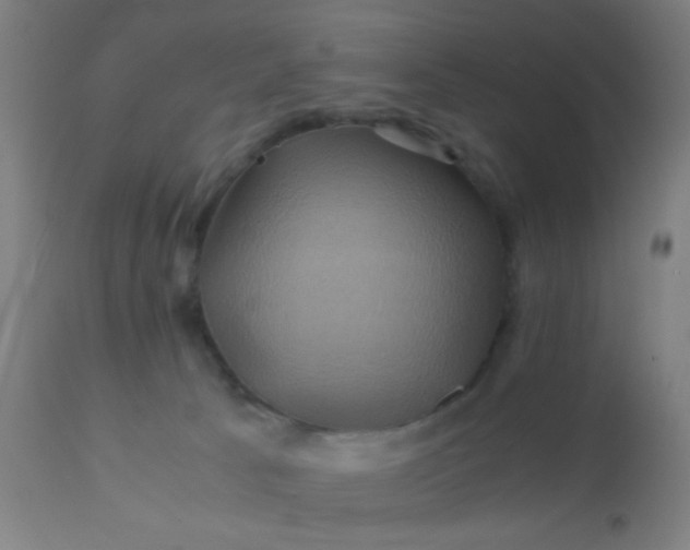 X0000110970033200907022256