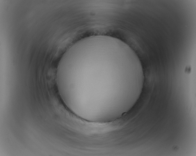 X0000110970034200907022256