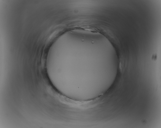 X0000110970035200907022256