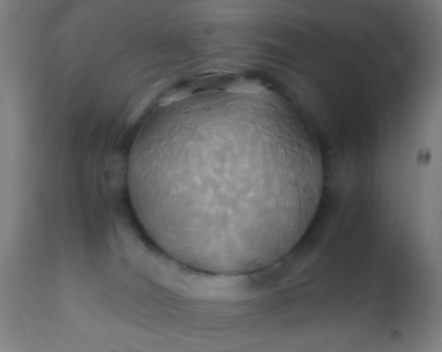 X0000110970036200907022256