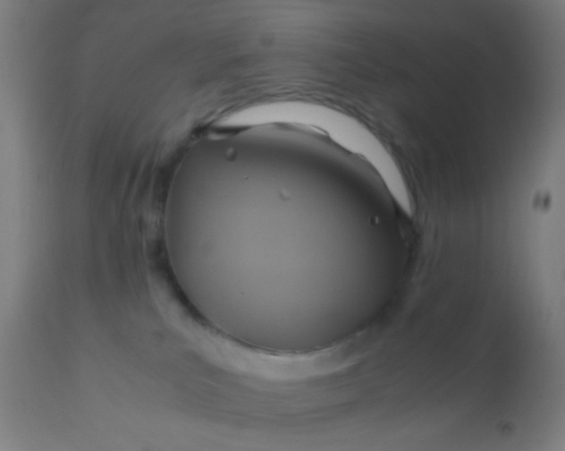 X0000110970039200907022256