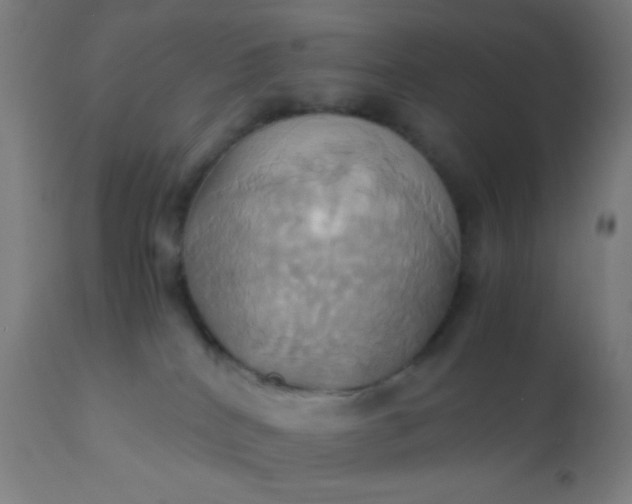 X0000110970040200907022256