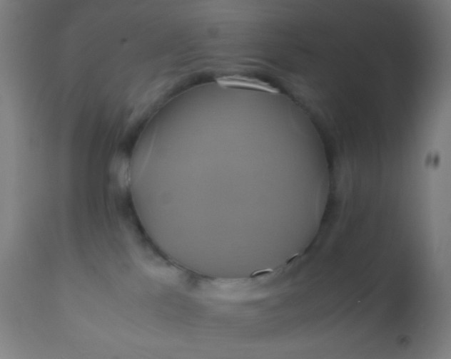 X0000110970041200907022256