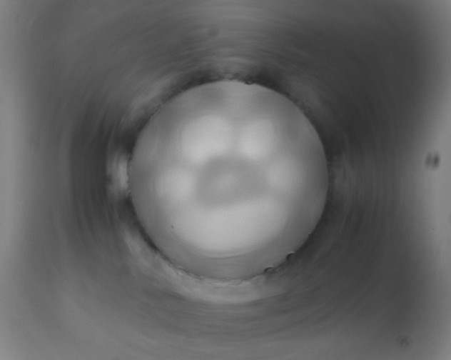 X0000110970042200907022256