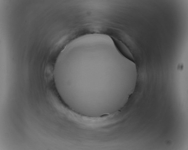 X0000110970043200907022256