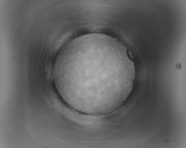 X0000110970044200907022256