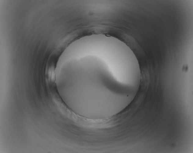 X0000110970046200907022256