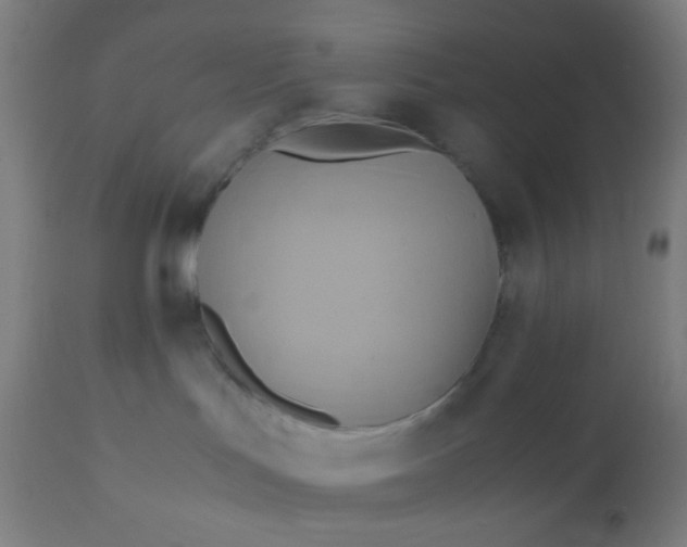 X0000110970047200907022256