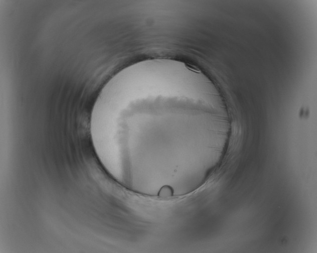 X0000110970048200907022256