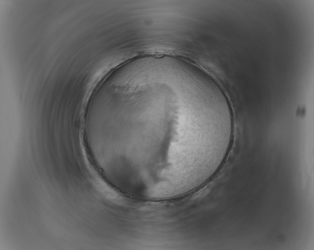 X0000110970049200907022255