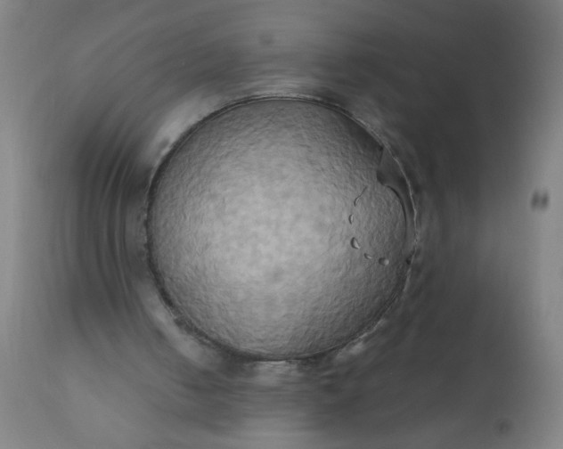 X0000110970050200907022255